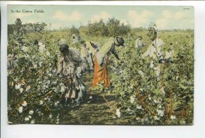 438992 USA picking cotton in the cotton fields Vintage postcard