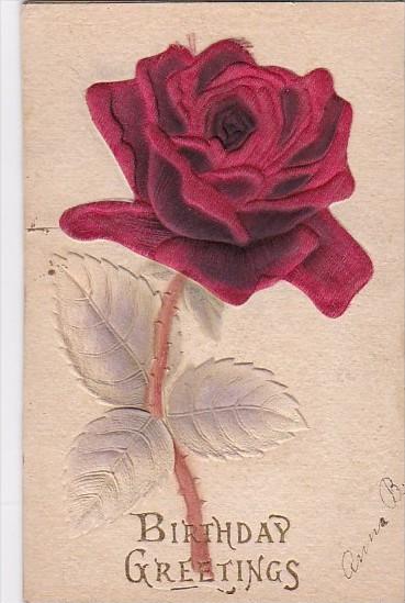 Birthday Greetings Beautiful Velvet Red Rose