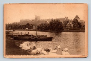 Windsor Castle From Brocas Antique Postcard UNP Unused DB 