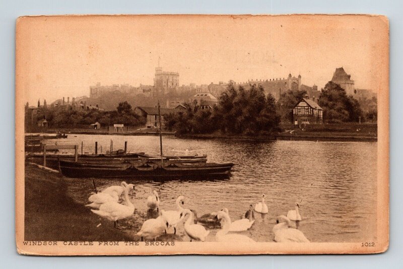 Windsor Castle From Brocas Antique Postcard UNP Unused DB 