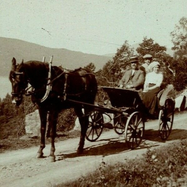 Vtg Carte Postale Cppr 1900s Richel & Ses Cheval Rhubarbe - Horsedrawn Carrosse