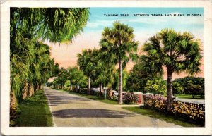 Florida Tamiami Trail Between Tampa and Miami 1932