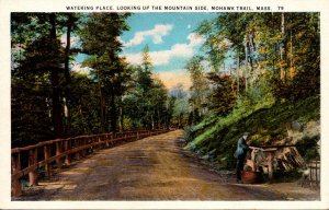 Massachusetts Mohawk Trail Watering Hole Looking Up The Mountain Side Curteich