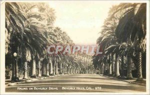 Old Postcard Palms on Beverly Drive Beverly Hills