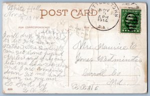 1910 WISHING YOU AN ENJOYABLE THANKSGIVING ROAST TURKEY L.R. CONWELL POSTCARD