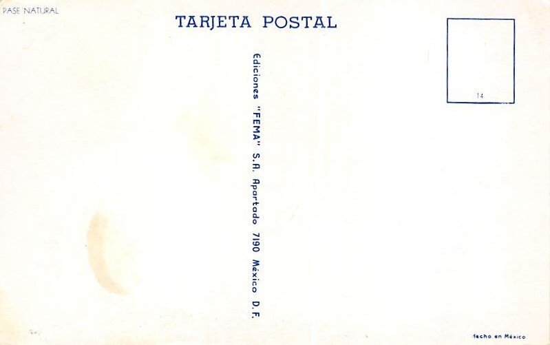 Pase Natural Tarjeta Postal Bullfighting Unused 