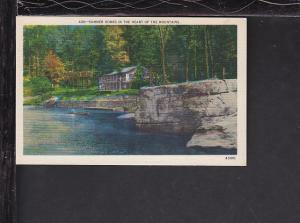 Summer Homes in the Mountains Postcard 