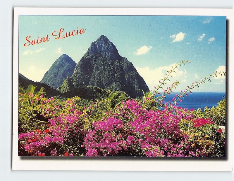 Postcard Pitons, Saint Lucia