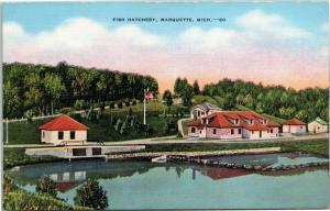 Fish Hatchery, Marquette, Michigan  postcard