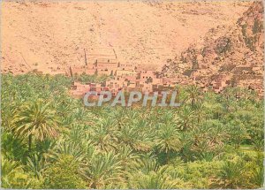 Postcard Modern Tenerhir Palms