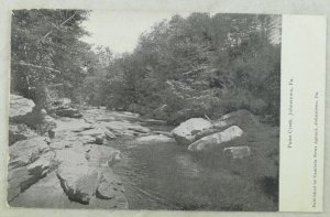 1898-1907 Point Creek, Johnstown, PA Monotone Vintage Postcard P98