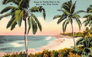 Florida Keys Scene Along The Florida Keys