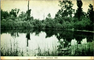 Blue Hole Castallia Ohio OH UNP 1910s DB Postcard