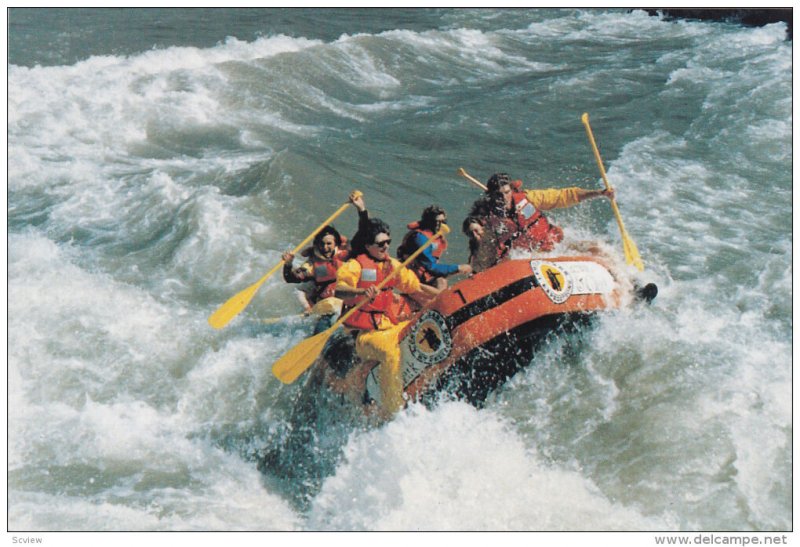 White Water Rafting Through the Grand Canyon of the Snake River, JACKSON HOLE...