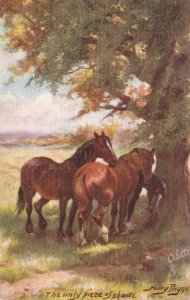 Harry Payne, Horses. The only piece of   Tuck By Mead and Stream Ser. PC # 9337