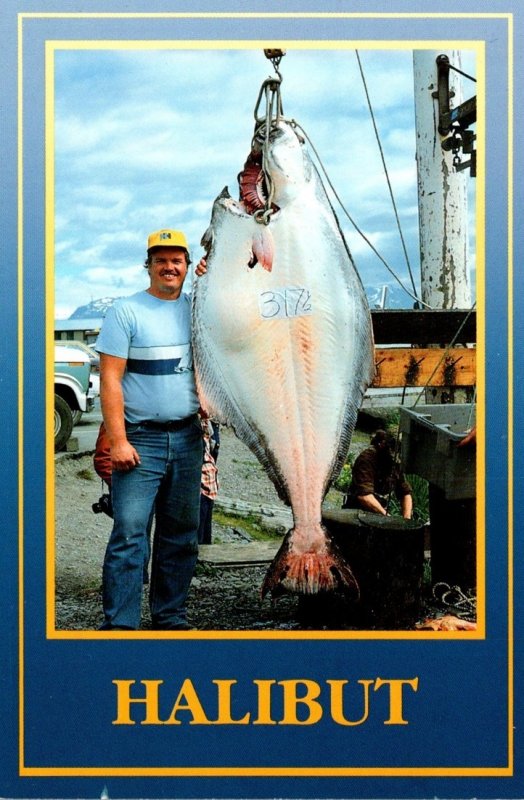 Alaska Fishing 317 1/2 Pound Halibut