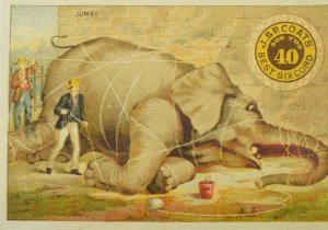 1870's-80's Jumbo Elephant #2 J.&P. Coats Best Six Cord Victorian Trade Card P59