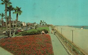 Vintage Postcard Well Landscaped Bluff Park Colorful Geranium Long Beach CA