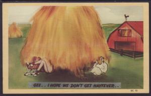 I Hope We Don't Get Hayfever,Chickens,Comic Postcard