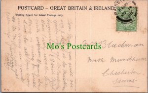 Kent Postcard - Maidstone From The Bridge  SW13986