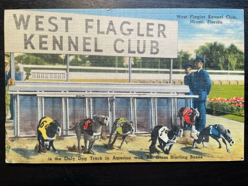 Vintage Postcard 1930-1945 West Flagler Kennel Club Dog Track Miami Florida (FL)