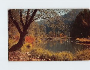 Postcard Autumn In The Feather River Country Of California