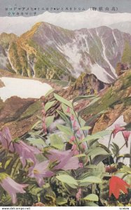 JAPAN , 1910 ; Mountain & Flowers