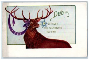 c1905s BPOE Deer Antlers Ribbon Flower View Denver Colorado CO Unposted Postcard