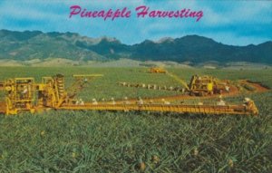 Hawaii Libby's Modern Machinery Harvesting Pineapples