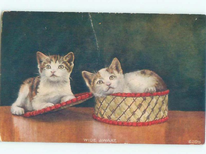 Pre-Linen CUTE KITTEN CAT PLAYING IN ANTIQUE BASKET AC5506