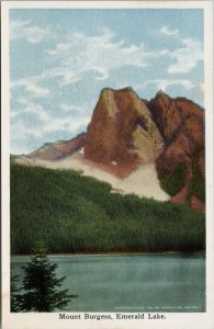 Mount Burgess Emerald Lake British Columbia BC Notman Unused Litho Postcard H3