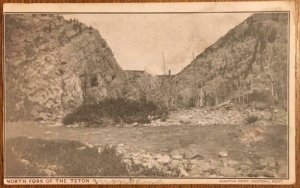 North Fork of the Teton, Montana Acantha Print 1908 Vintage Postcard