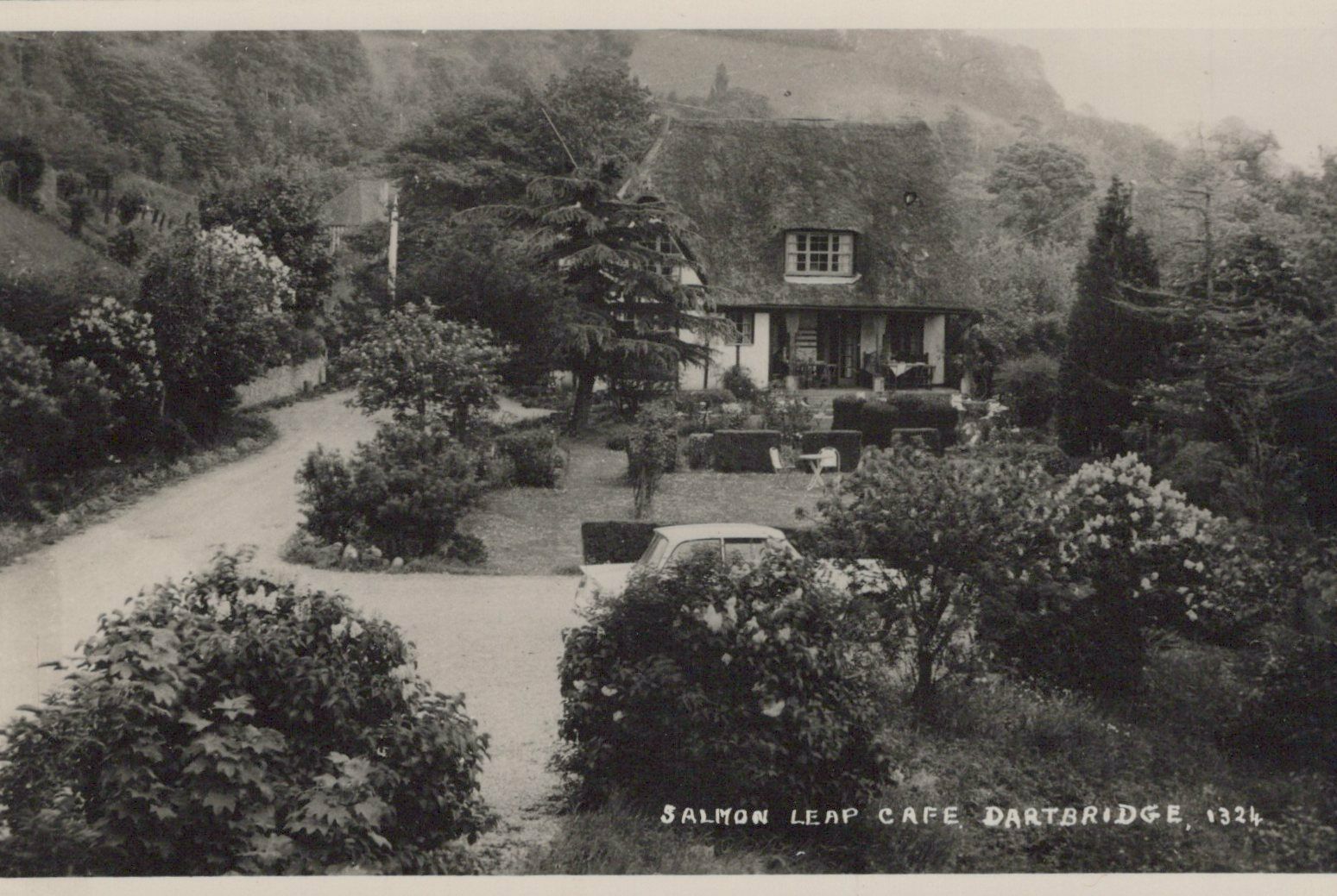 Devon Postcard Salmon Leap Cafe, Dartbridge RS23902 Europe United