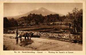 CPA AK INDONESIA Sawah-bewerking Garoet (341351)