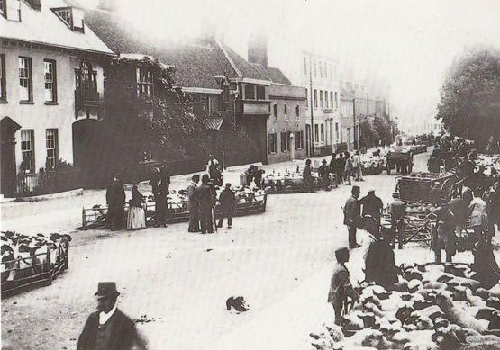 Bancroft Farm Sheep Traders Market Place Hitchin Hertfordshire Rare Postcard