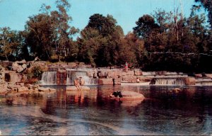 Canada Ontario Falls On The Sauble River Near Sauble Beach 1957