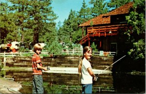 Wilderness Pines Camping Resort Idyllwild CA Kids Fishing VTG Postcard UNP  