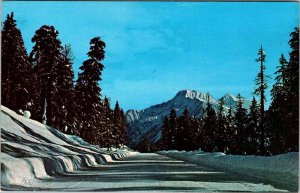 Postcard HIGHWAY SCENE Revelstoke British Columbia BC AN7879