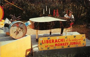 Liberachi of the Monkey World at the Monkey Jungle South of Miami - Miami, Fl...