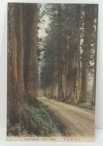 Cryptomeria Road Nikko Japan Vintage Postcard