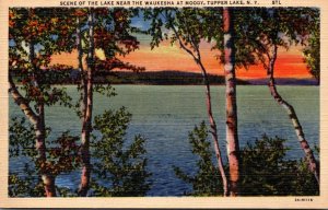 New York Tupper Lake Scene Of The Lake Near The Waukesha At Moody Curteich