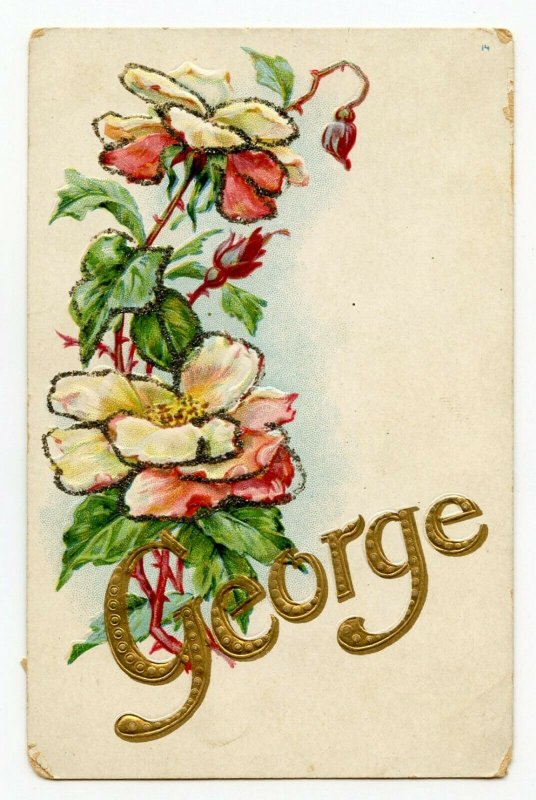 Postcard Name George Embossed Glitter Standard View Card