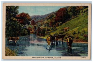 Greetings From Effingham Illinois IL, Animal River Nature Scene Vintage Postcard