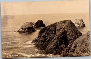 RPPC OR Bird Rocks Chapman Point Cannon Beach