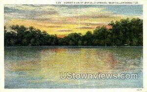 Wakulla Springs - Tallahassee, Florida FL