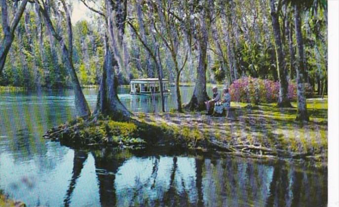 Florida Silver Springs Glass Bottom Boat On Silver River 1967