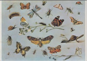 Art Postcard - Jan Van Kessel, A Study of Butterflies and Insects Ref.RR18233