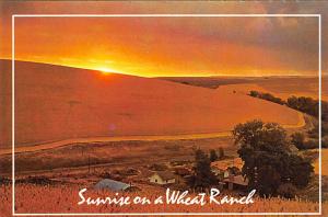 Wheat Ranch - Washington