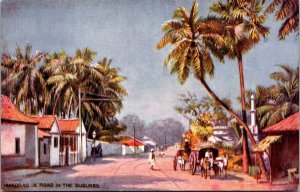 Madras, Road In the Suburbs Tucks 7065 Madras Vintage Postcard A62