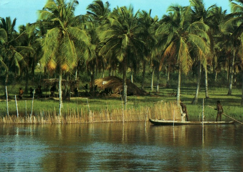 VINTAGE CONTINENTAL SIZE POSTCARD FISHERMEN HUTS INSIDE COCONUT PALMS RWANDA